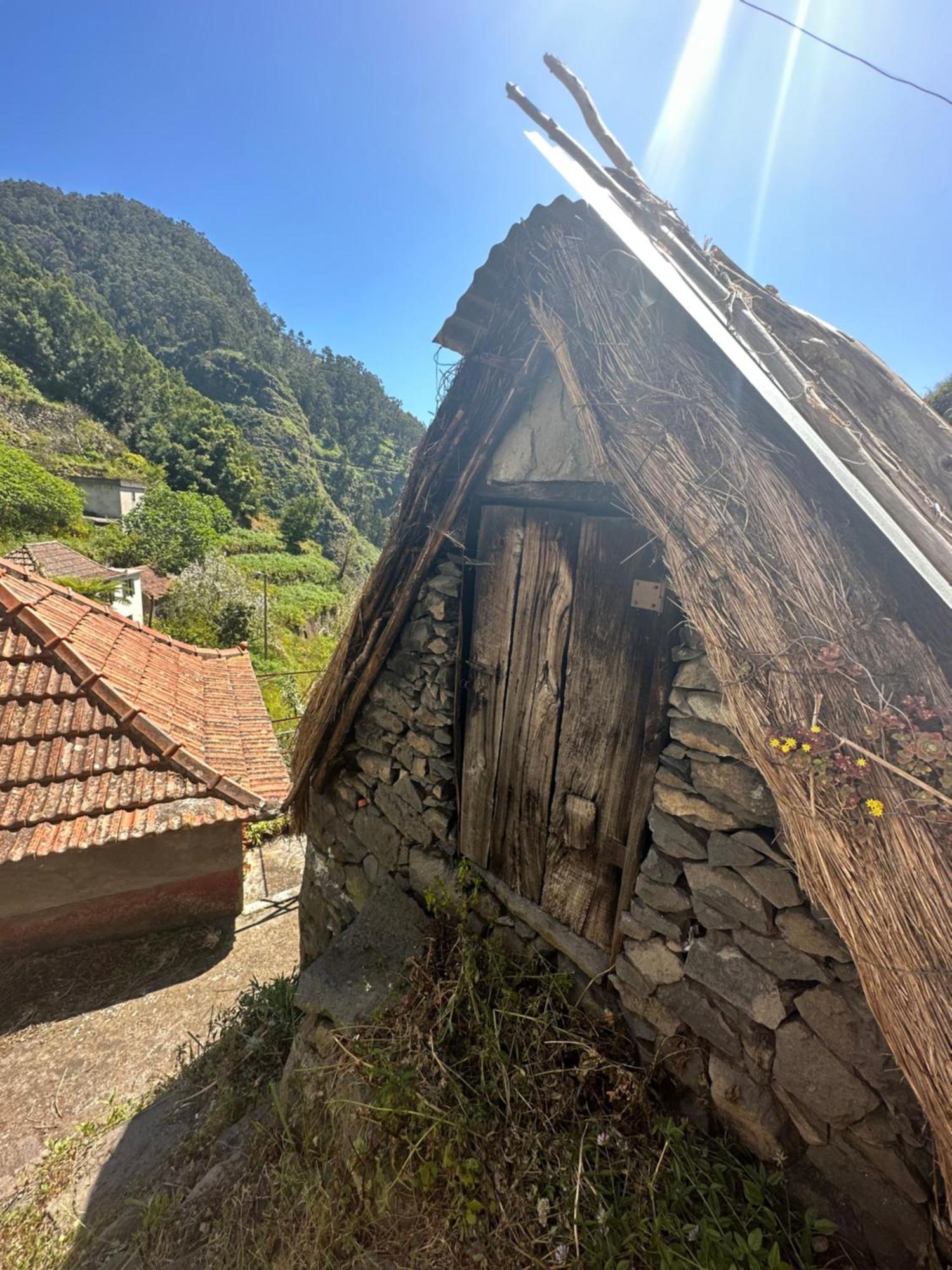 The Green Valley House São Vicente Kültér fotó