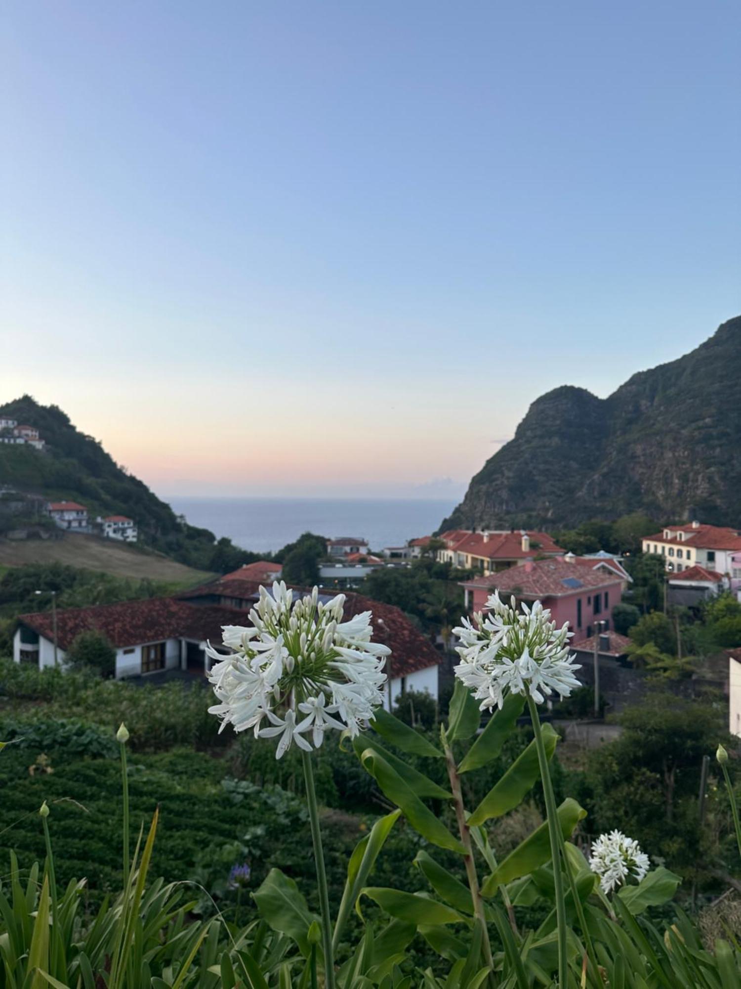 The Green Valley House São Vicente Kültér fotó